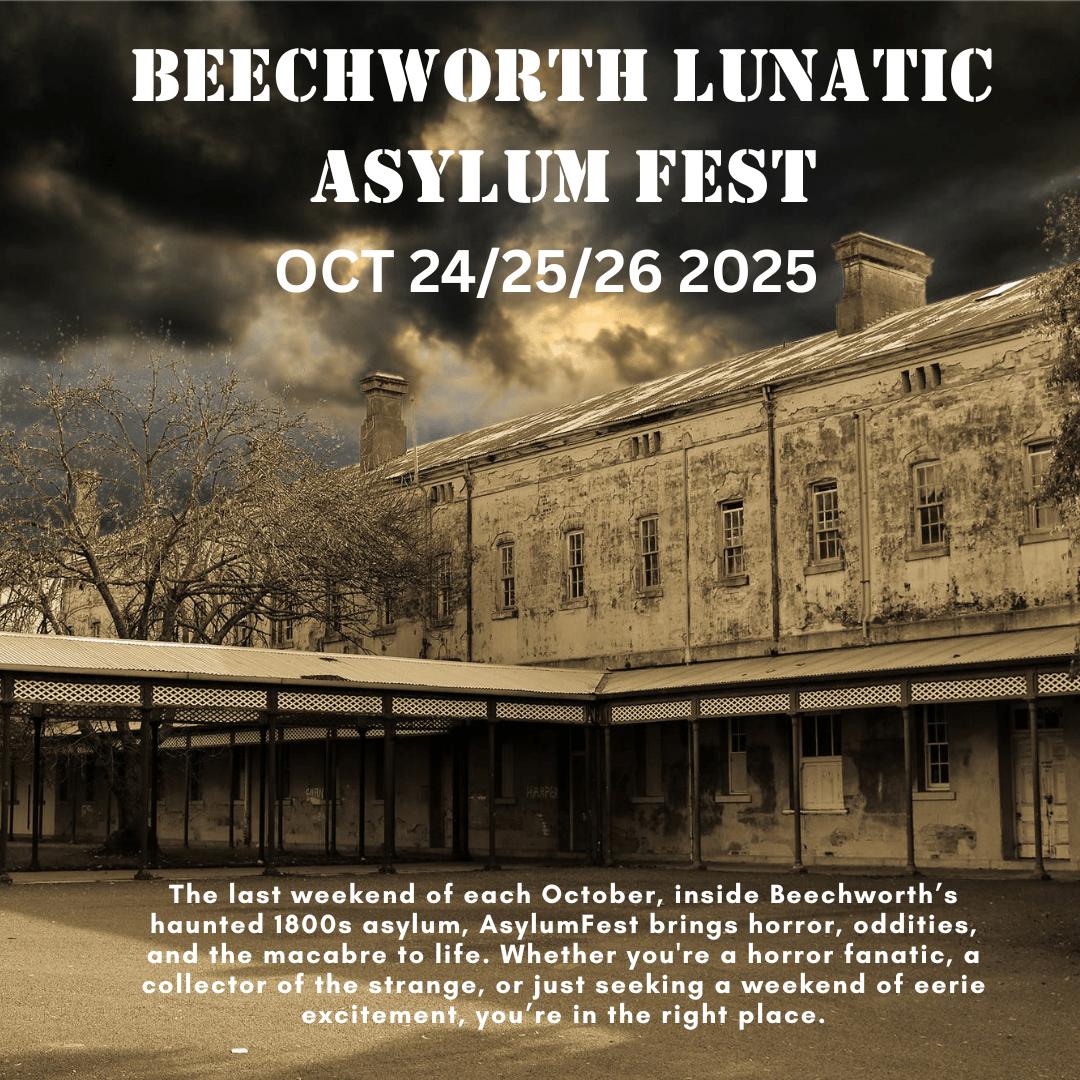 Read more about the article AsylumFest