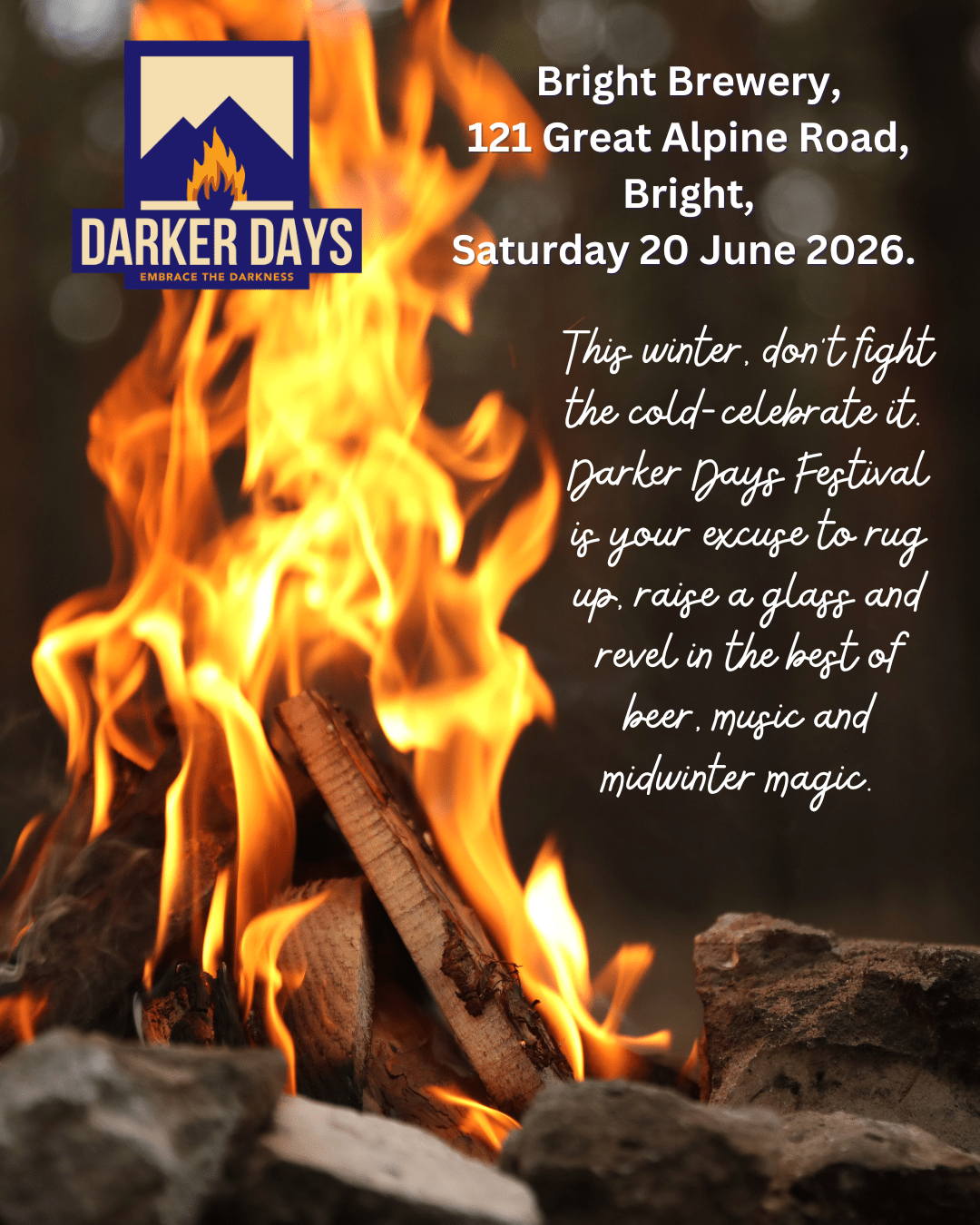 Read more about the article Darker Days Bright Brewery